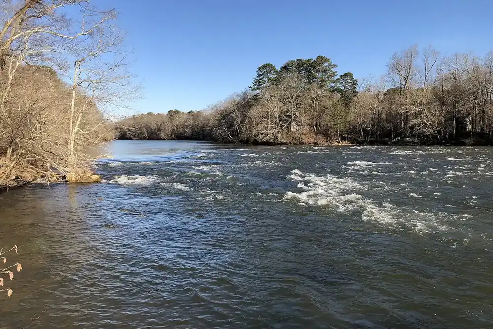 Chattahoochee River rapids with bare trees on the far bank at Johns Creek, Georgia